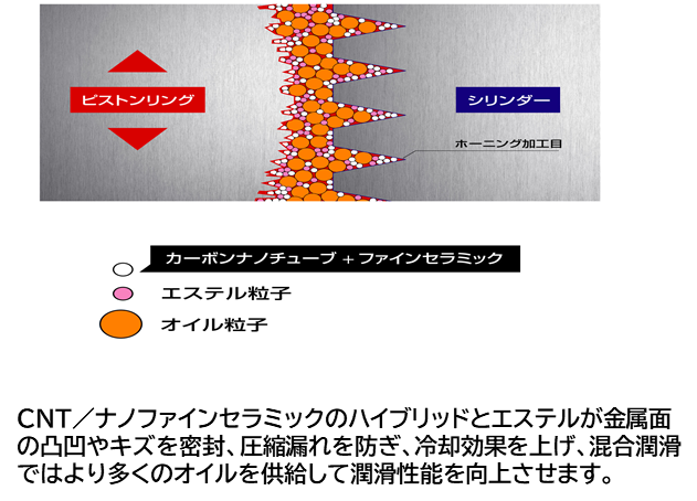 ≪作用のメカニズム≫